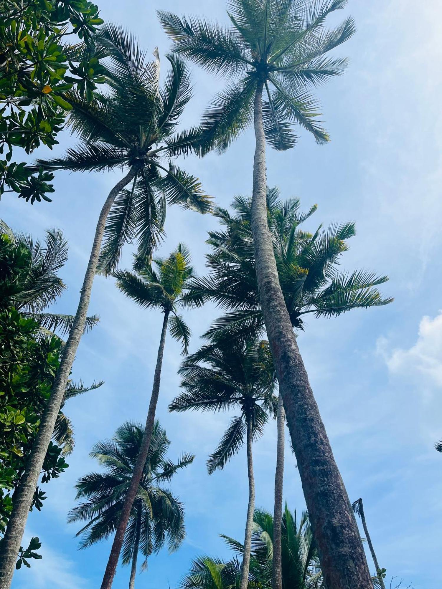 Esperanza Beach Mawella Tangalle Exterior photo